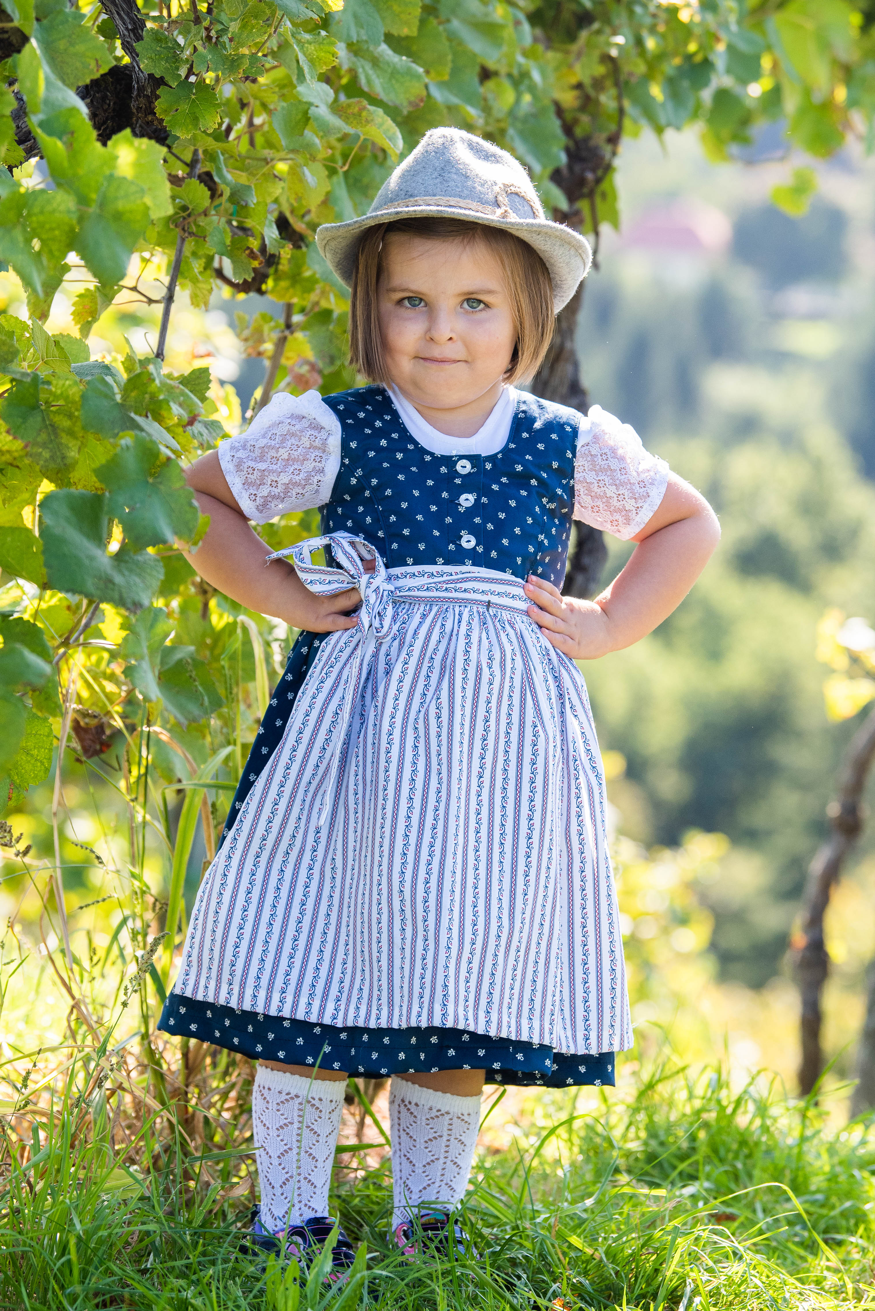 Dirndl mit Bluse, Baumwolle Blau Weiß