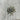 Metallknopf Trachtenknopf Edelweis 50mm